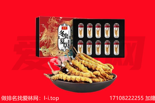乐山金口河区回收虫草.jpg